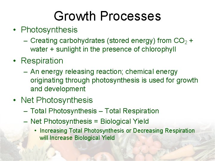 Growth Processes • Photosynthesis – Creating carbohydrates (stored energy) from CO 2 + water