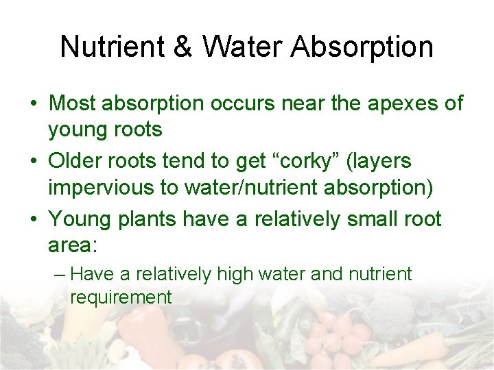 Nutrient & Water Absorption • Most absorption occurs near the apexes of young roots