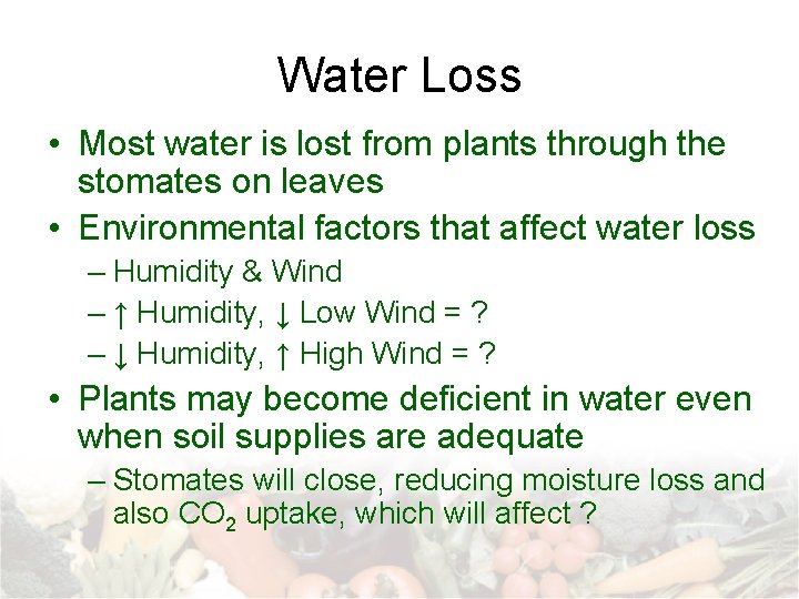 Water Loss • Most water is lost from plants through the stomates on leaves