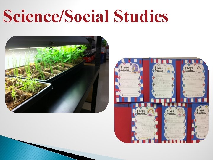 Science/Social Studies 