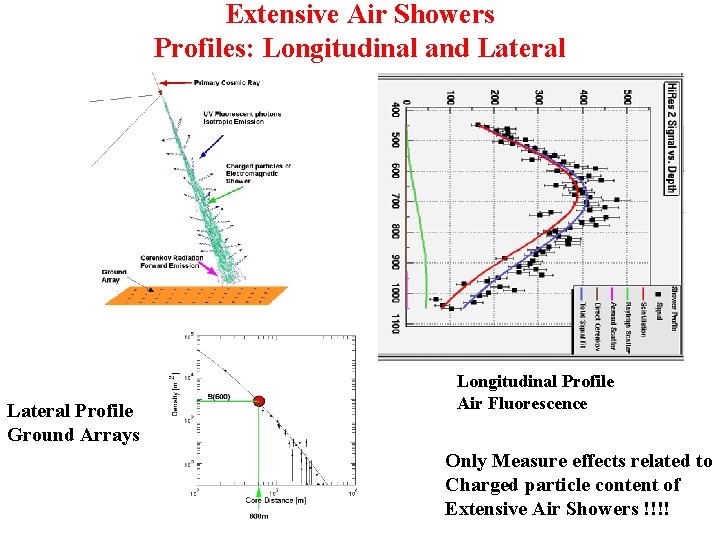 Extensive Air Showers Profiles: Longitudinal and Lateral Profile Ground Arrays Longitudinal Profile Air Fluorescence