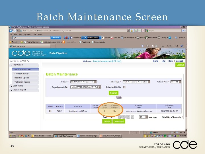 Batch Maintenance Screen 25 