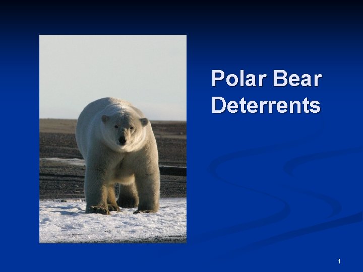 Polar Bear Deterrents 1 
