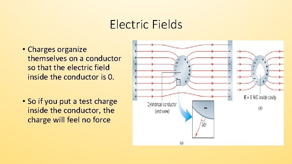 Electric Fields • Charges organize themselves on a conductor so that the electric field