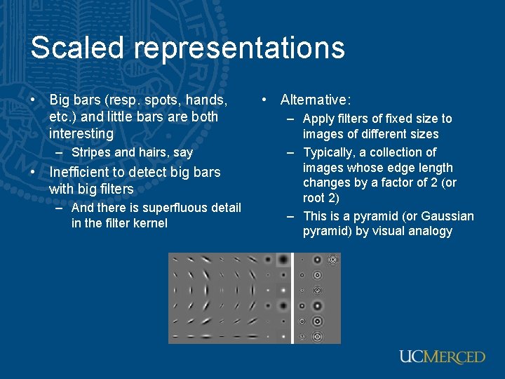 Scaled representations • Big bars (resp. spots, hands, etc. ) and little bars are