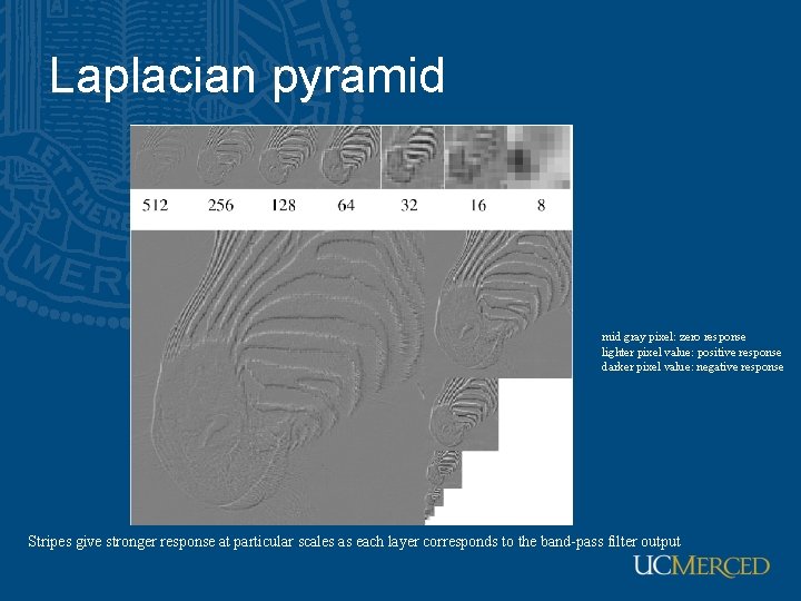 Laplacian pyramid gray pixel: zero response lighter pixel value: positive response darker pixel value: