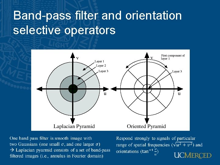 Band-pass filter and orientation selective operators 