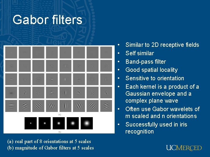 Gabor filters • • • Similar to 2 D receptive fields Self similar Band-pass