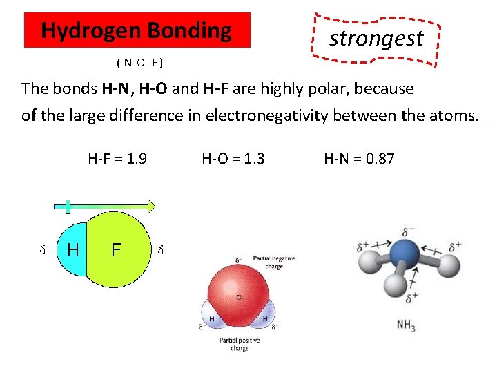 Hydrogen Bonding WEAKEST strongest ( N O F ) The bonds H-N, H-O and