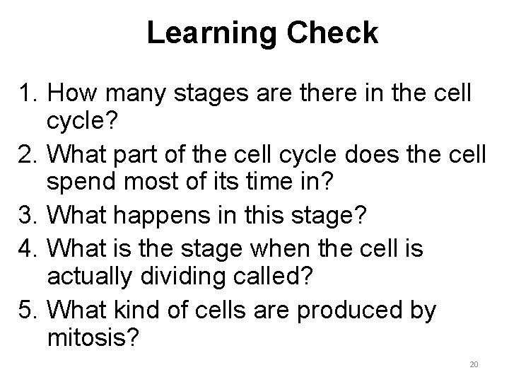 Learning Check 1. How many stages are there in the cell cycle? 2. What