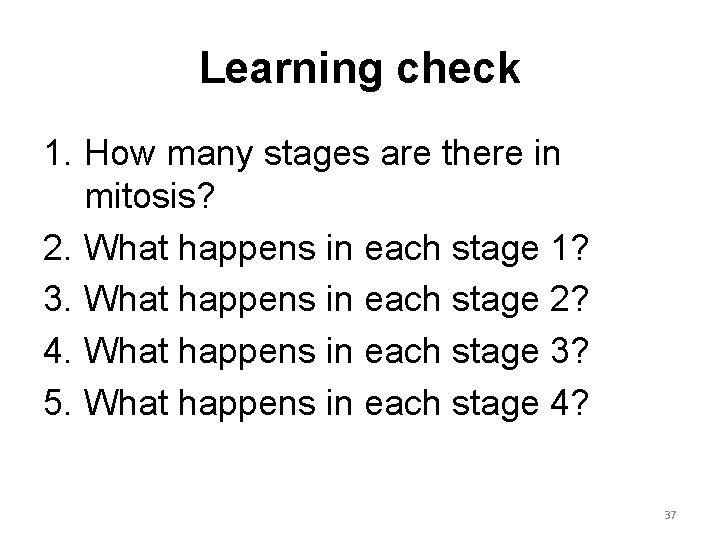 Learning check 1. How many stages are there in mitosis? 2. What happens in