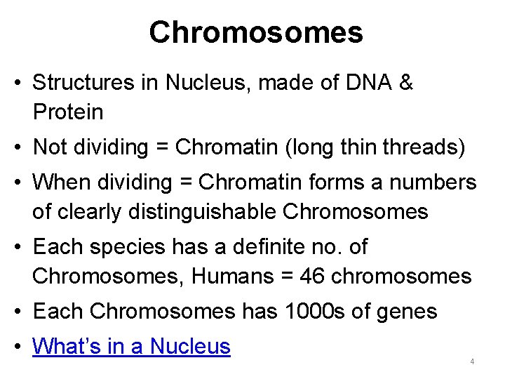 Chromosomes • Structures in Nucleus, made of DNA & Protein • Not dividing =