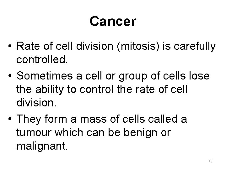 Cancer • Rate of cell division (mitosis) is carefully controlled. • Sometimes a cell