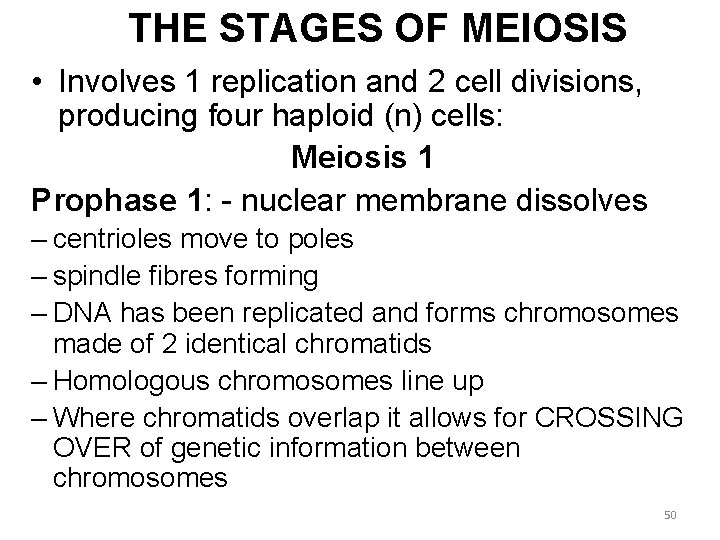 THE STAGES OF MEIOSIS • Involves 1 replication and 2 cell divisions, producing four