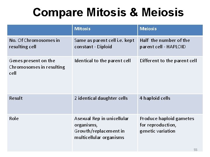 Compare Mitosis & Meiosis Mitosis Meiosis No. Of Chromosomes in resulting cell Same as