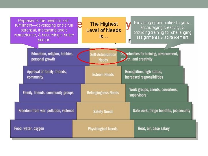 The. Theory Highest Hierarchy Needs Level of Needs Represents the need for selffulfillment—developing one’s