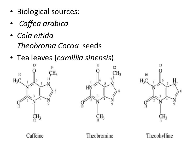  • Biological sources: • Coffea arabica • Cola nitida Theobroma Cocoa seeds •