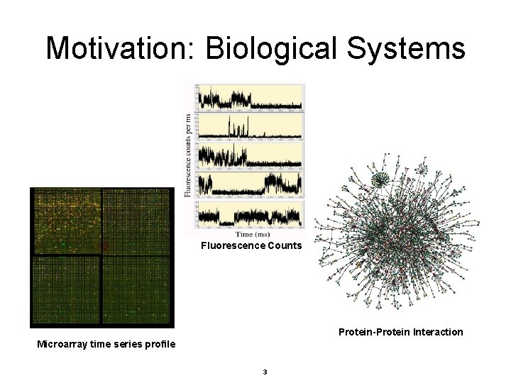 Motivation: Biological Systems Fluorescence Counts Protein-Protein Interaction Microarray time series profile 3 Motivation: Biological Systems Fluorescence Counts Protein-Protein Interaction Microarray time series profile 3