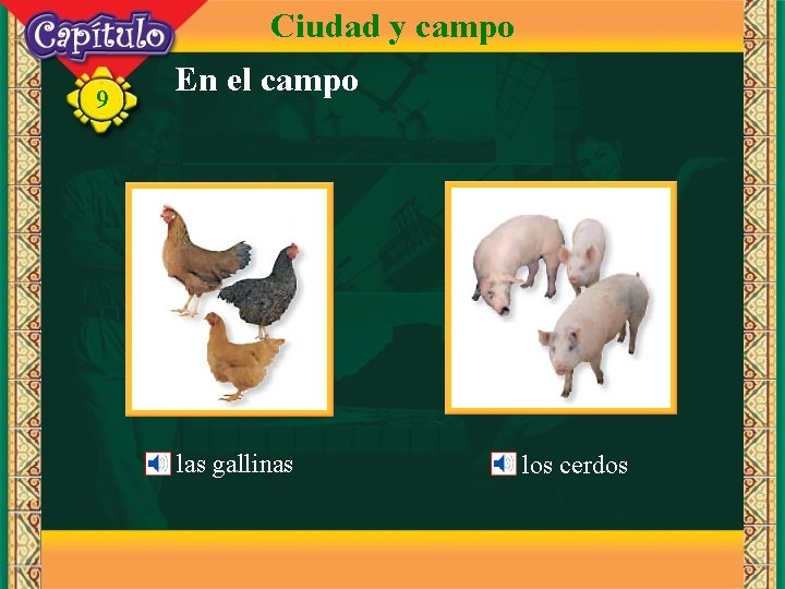 Ciudad y campo 9 En el campo las gallinas los cerdos 