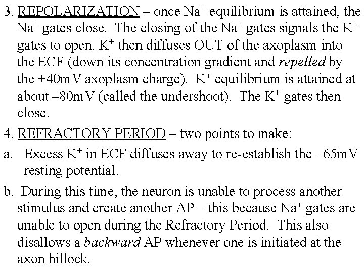 3. REPOLARIZATION – once Na+ equilibrium is attained, the Na+ gates close. The closing