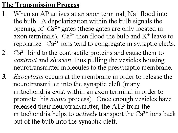 The Transmission Process: 1. When an AP arrives at an axon terminal, Na+ flood