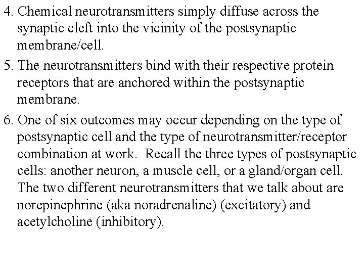 4. Chemical neurotransmitters simply diffuse across the synaptic cleft into the vicinity of the