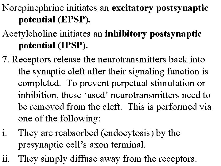 Norepinephrine initiates an excitatory postsynaptic potential (EPSP). Acetylcholine initiates an inhibitory postsynaptic potential (IPSP).