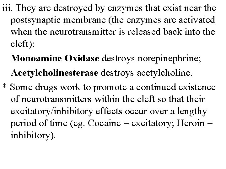 iii. They are destroyed by enzymes that exist near the postsynaptic membrane (the enzymes