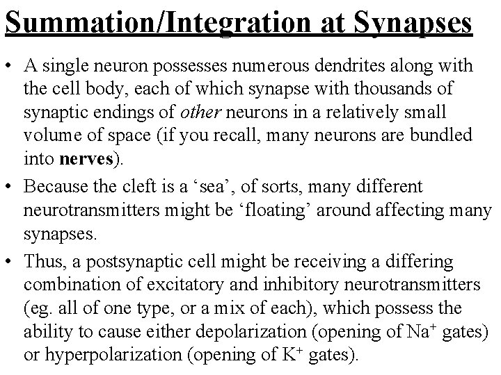 Summation/Integration at Synapses • A single neuron possesses numerous dendrites along with the cell