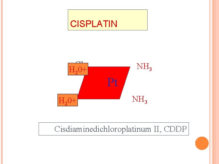 CISPLATIN Cl H 20+ HCl 20+ NH 3 Pt NH 3 Cisdiaminedichloroplatinum II, CDDP