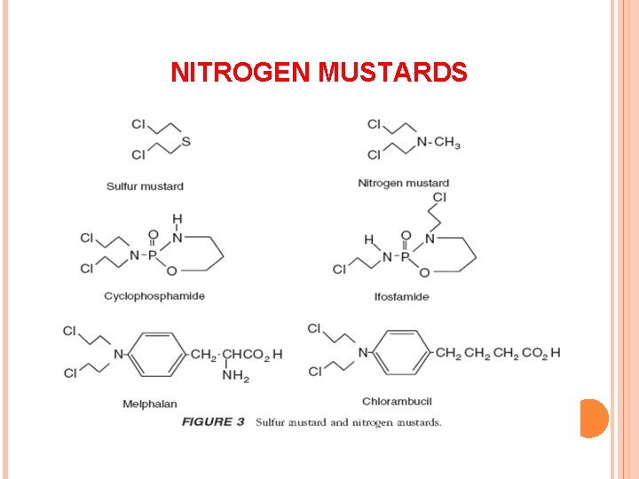 NITROGEN MUSTARDS 