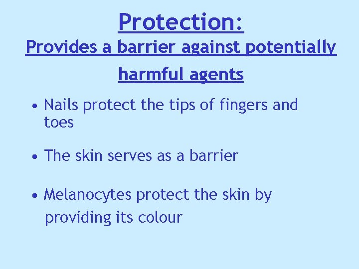 Protection: Provides a barrier against potentially harmful agents • Nails protect the tips of Protection: Provides a barrier against potentially harmful agents • Nails protect the tips of