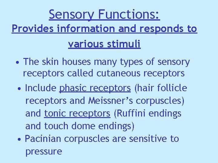Sensory Functions: Provides information and responds to various stimuli • The skin houses many Sensory Functions: Provides information and responds to various stimuli • The skin houses many