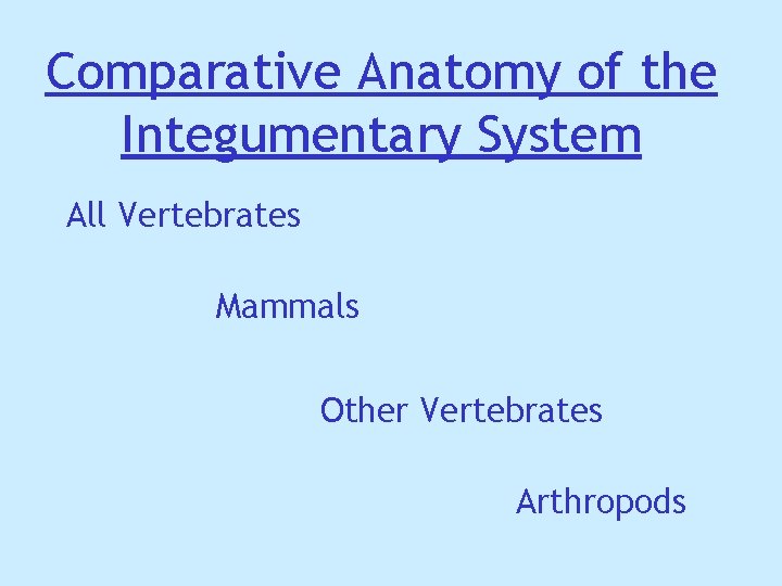 Comparative Anatomy of the Integumentary System All Vertebrates Mammals Other Vertebrates Arthropods Comparative Anatomy of the Integumentary System All Vertebrates Mammals Other Vertebrates Arthropods