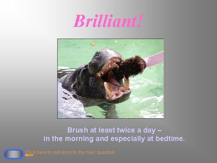 Brilliant! Brush at least twice a day – in the morning and especially at