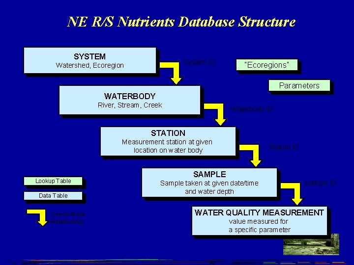 NE R/S Nutrients Database Structure SYSTEM System ID Watershed, Ecoregion “Ecoregions” Parameters WATERBODY River,