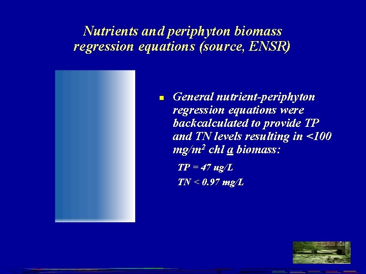 Nutrients and periphyton biomass regression equations (source, ENSR) n General nutrient-periphyton regression equations were