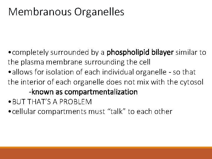 Membranous Organelles • completely surrounded by a phospholipid bilayer similar to the plasma membrane