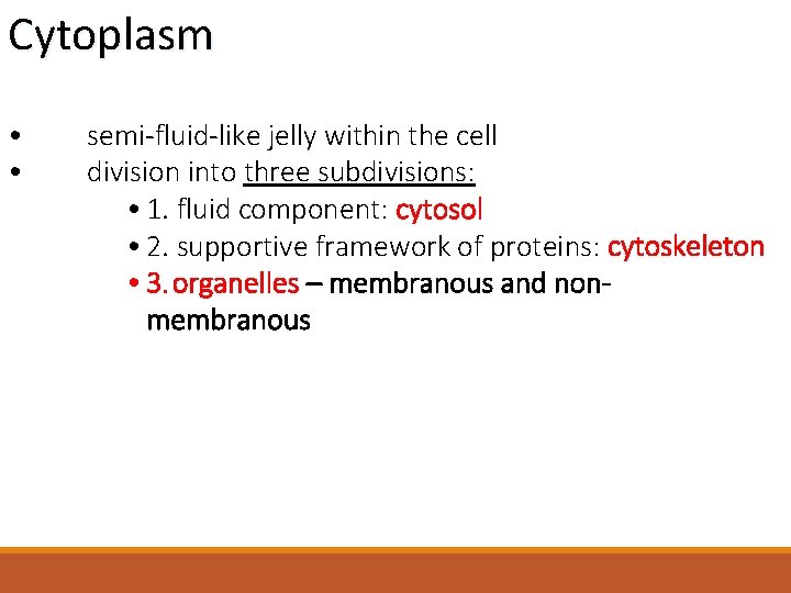 Cytoplasm • • semi-fluid-like jelly within the cell division into three subdivisions: • 1.