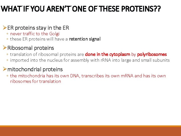 WHAT IF YOU AREN’T ONE OF THESE PROTEINS? ? ØER proteins stay in the