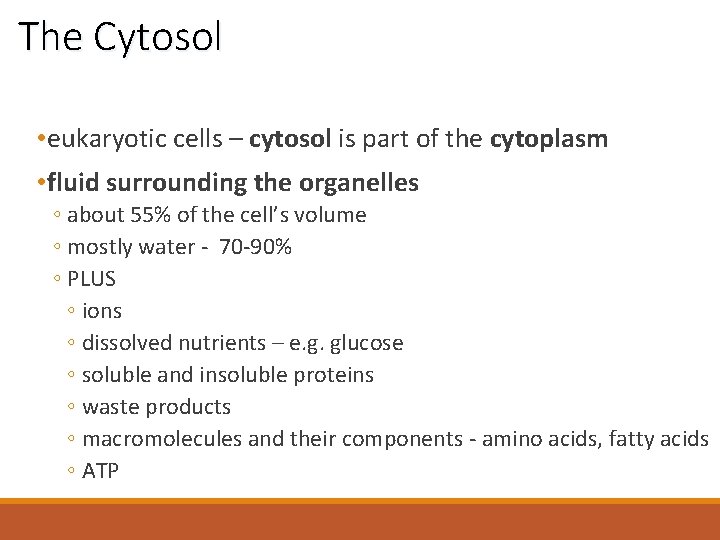 The Cytosol • eukaryotic cells – cytosol is part of the cytoplasm • fluid