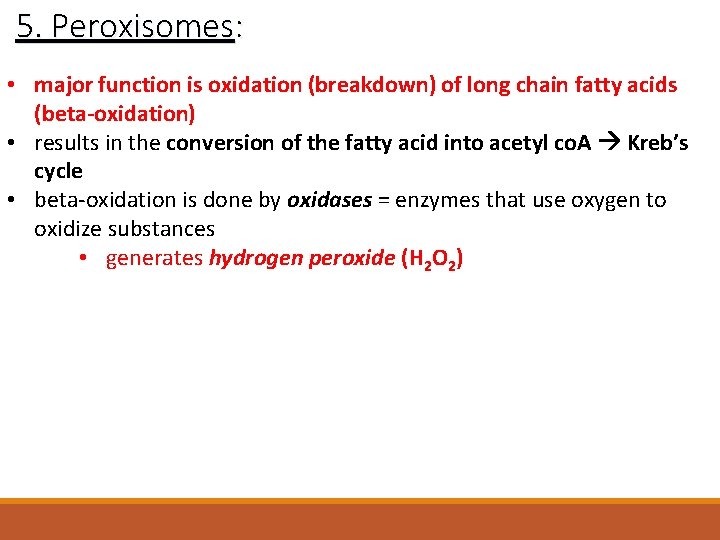 5. Peroxisomes: • major function is oxidation (breakdown) of long chain fatty acids (beta-oxidation)