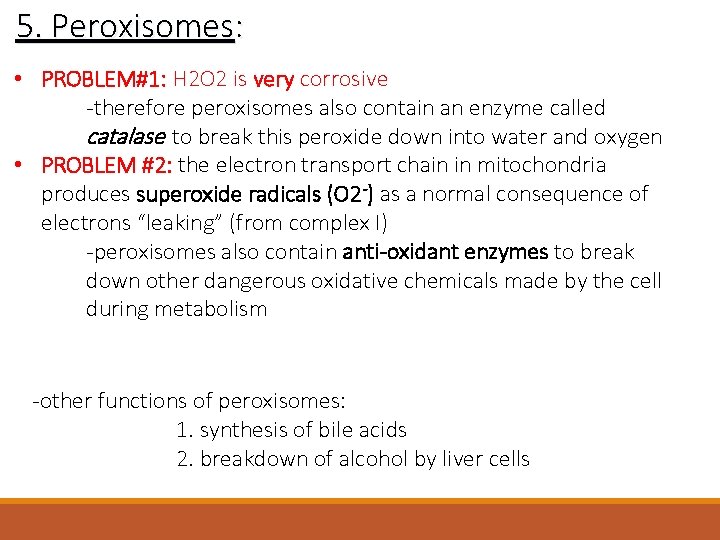 5. Peroxisomes: • PROBLEM#1: H 2 O 2 is very corrosive -therefore peroxisomes also