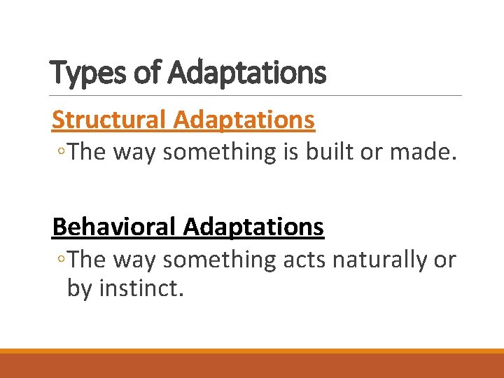 Types of Adaptations Structural Adaptations ◦The way something is built or made. Behavioral Adaptations