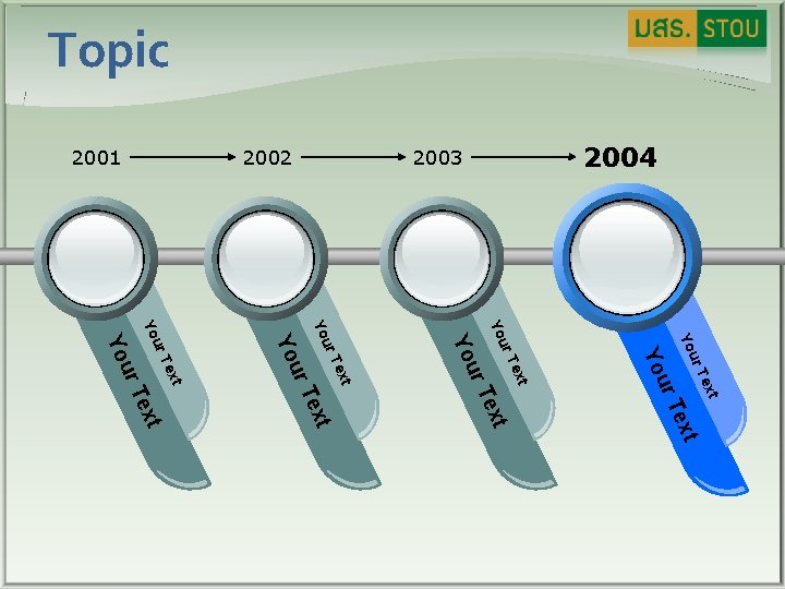 Topic 2004 2003 2002 2001 ur Yo t Tex t Tex ur t Tex