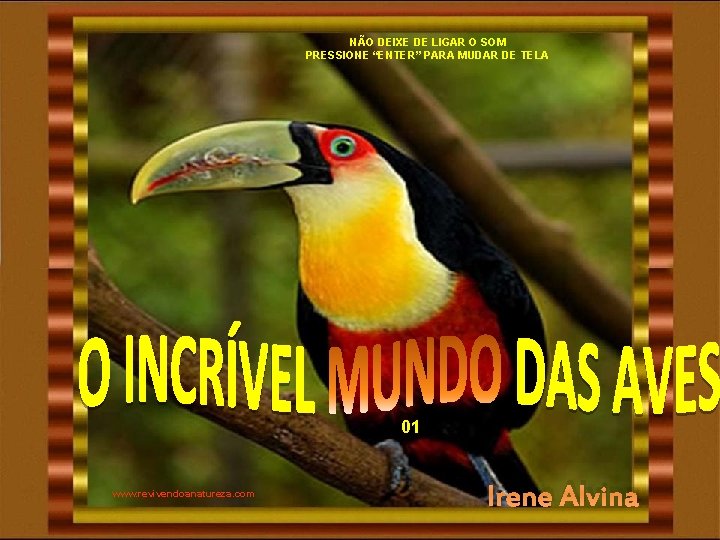 NÃO DEIXE DE LIGAR O SOM PRESSIONE “ENTER” PARA MUDAR DE TELA 01 www. NÃO DEIXE DE LIGAR O SOM PRESSIONE “ENTER” PARA MUDAR DE TELA 01 www.