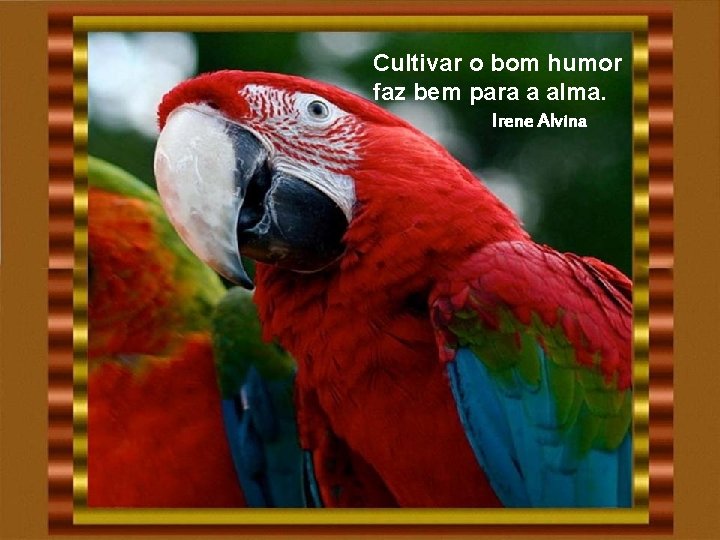 Cultivar o bom humor faz bem para a alma. Irene Alvina Cultivar o bom humor faz bem para a alma. Irene Alvina