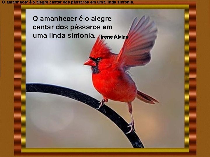 O amanhecer é o alegre cantar dos pássaros em uma linda sinfonia. Irene Alvina O amanhecer é o alegre cantar dos pássaros em uma linda sinfonia. Irene Alvina