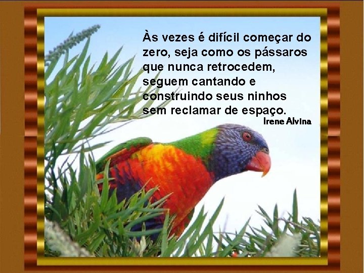 Às vezes é difícil começar do zero, seja como os pássaros que nunca retrocedem, Às vezes é difícil começar do zero, seja como os pássaros que nunca retrocedem,
