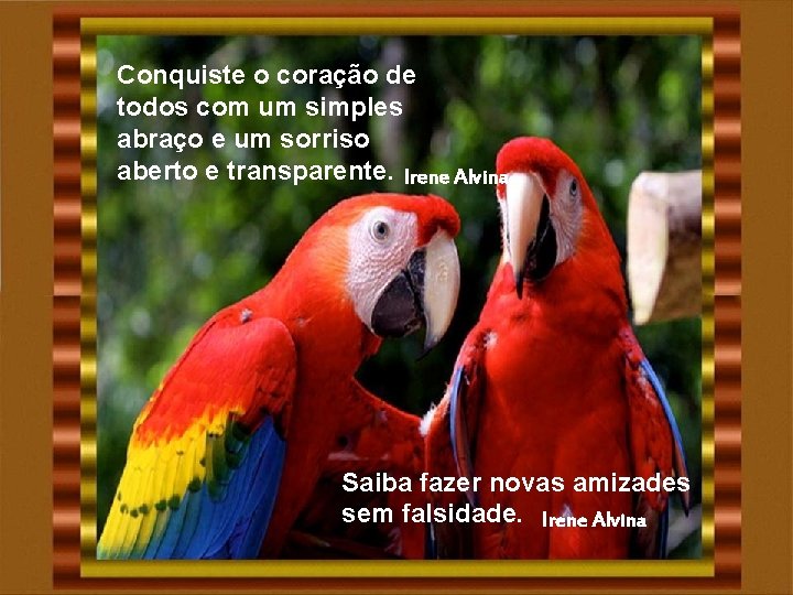 Conquiste o coração de todos com um simples abraço e um sorriso aberto e Conquiste o coração de todos com um simples abraço e um sorriso aberto e